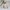 Sommer-Sleepoverall Musselin 0.5 TOG