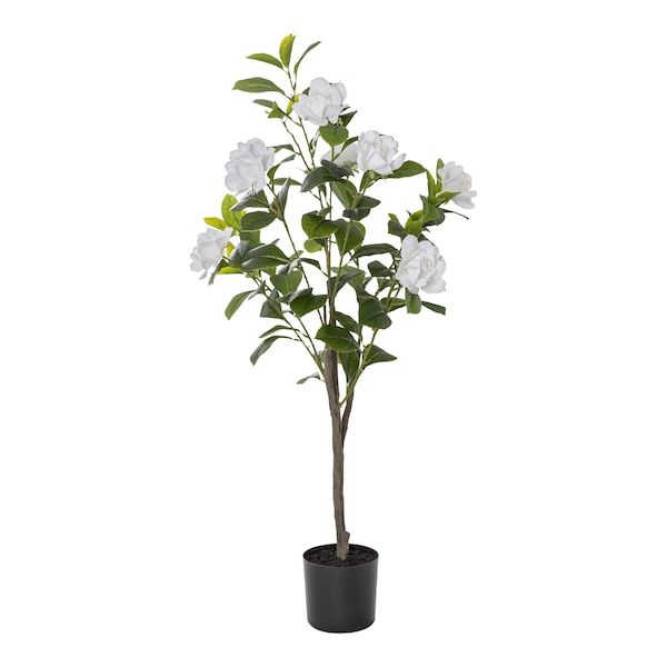 Produktvorschaubild 1