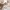 Lernturm Sit & Step 2-in-1