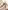 Set aus Badecape & Waschhandschuh mit Jacquardstreifen Baby