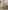 Baby-Set aus Sweatshirt und Hose CLUB