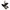 Babyschale Doona i