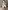 Baby-Set aus Poloshirt und Hose