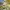 Mountainbike Montreal 20 Zoll / 24 Zoll