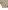 Bio-Kollektion: 7er-Pack Baby Wickelbodys BASIC