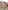 Spieltisch Baby Holz FSC® mit Tieren