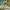 Citybike Atlantis 20 Zoll / 24 Zoll