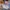 43298 Disney Princess Adventskalender