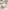 5er-Pack Baby Schlupfbodys mit Dinosauriermotiven