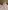 Bio-Kollektion: 2er-Pack Baby Strampler mit Blumen