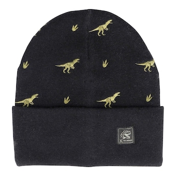 Winter-Strickmütze Dinos