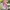 Set Kinderparty-Garnitur mit Bankkissen  