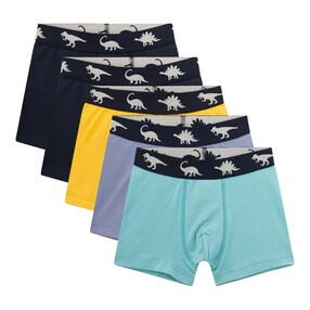 5er-Pack Boxershorts Dinos