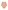 5er-Pack Baby Schlupfbodys mit Tiermotiven PETIT BATEAU