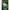 Babytragetuch, 510cm