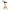 Babywippe Highchair Bouncer 3in1