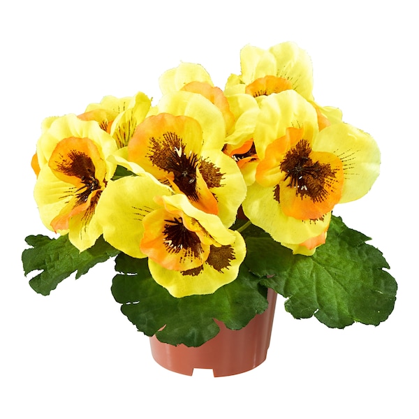 Produktvorschaubild 1