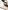 Baby Spangenschuhe aus Leder
