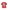 T-Shirt mit Dschungelprint und Recycling-Baumwolle Jungen
