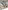 Spieltisch Baby Holz FSC® mit Tieren