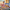 60510 City Adventskalender