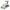 Rutscher Walk n' roll 2in1 ECO