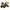 Trettraktor rollyFarmtrac Premium II Claas Arion 660 mit Frontlader, Luftbereifung