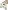 Mitwachsender Baby Activity-Tisch TANSANIA, Holz FSC®