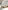 Activity-Lauflernwagen TANSANIA aus Holz FSC®
