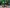 Kojen-Bett, Gamingbett, 90x200cm _6 PS_ Minecraft