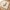 Spiel- und Krabbeldecke Savanna Friends 