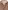 Jungen Winterparka mit Webpelzfutter