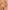 2er-Pack Umstands-Slips aus Mikrofaser und Spitze
