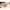 Magnetpuzzle Wildtiere 6er Set