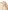 Baby-Set aus Latzhose und Body