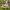 Kindersitzgarnitur Outdoor+, natur  Outdoor+