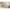 Bettkasten Little Snu 70 x 140 cm