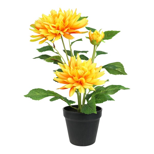Produktvorschaubild 1