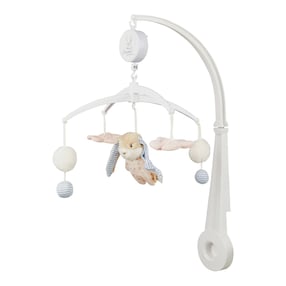 Musik-Mobile Hase Hanni