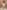 Festliche Baby Bluse aus Baumwoll-Voile