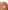 2er-Pack Baby Samt-Strampler mit Tier-Print 75% Bio-Baumwolle