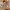 Beistellbett Thomi Plus 5in1