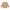 Shirt langarm Vogel