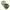 2-er Pack Studio Collection Schnuller Latex, 0-6M