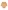 Bio-Kollektion: 5er-Pack Baby Wickelbodys BASIC