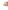 Wende-Sonnenhut Jungen Baby Urlaubsmotive