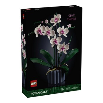 10311 Orchidee