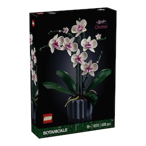 10311 Orchidee