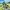 Citybike Sydney 20 Zoll / 24 Zoll