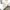 Renforcé Wende-Bettwäsche 40x60 / 100x135 cm